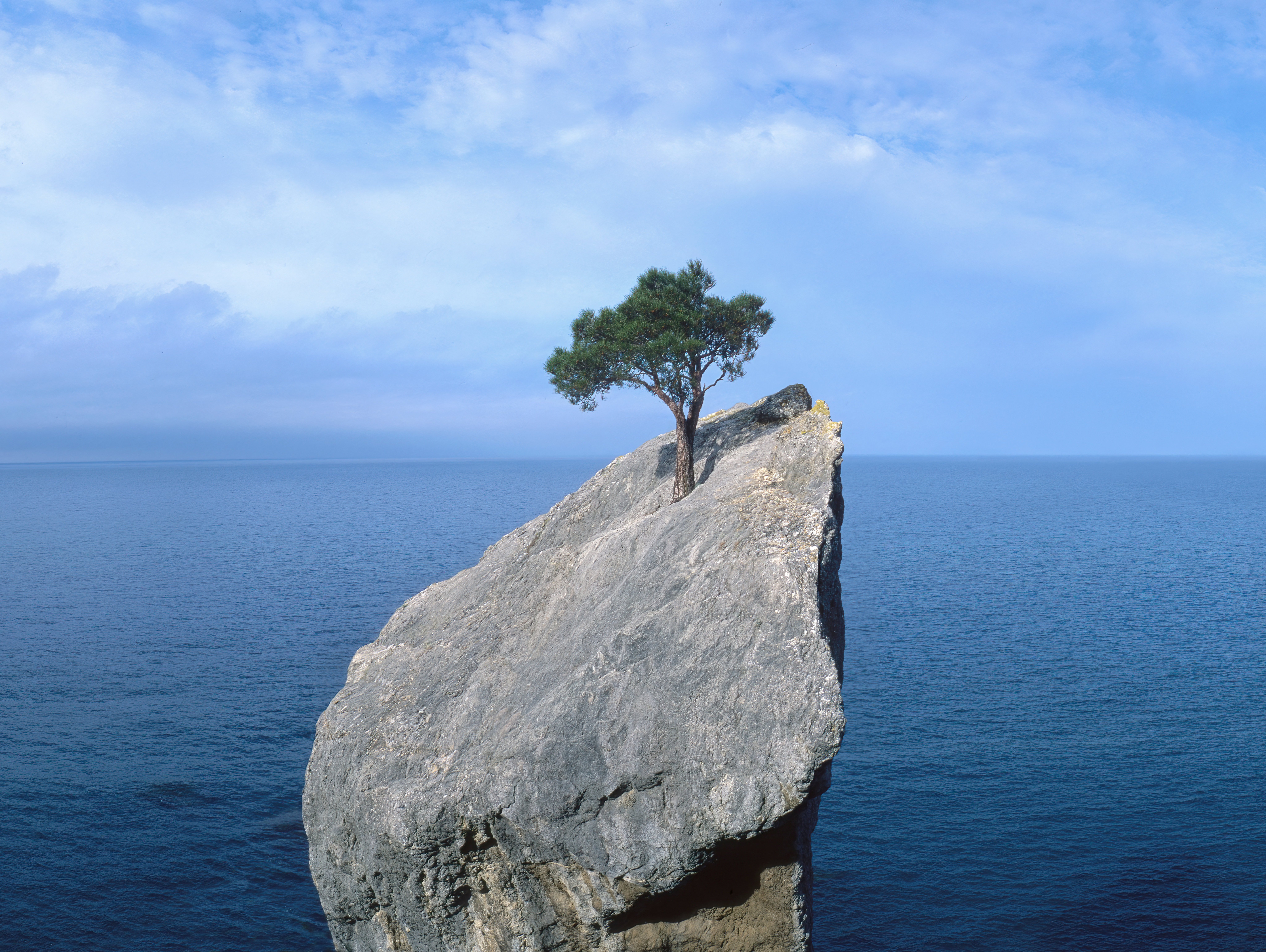 rock formation in the middle of water with a tree on top